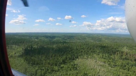 Количество лесных пожаров в Якутии сократилось до 28
