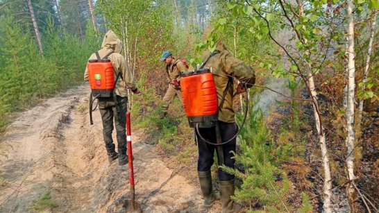 На территории Якутии продолжают действовать 3 крупных лесных пожара