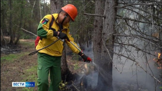 В Якутии за прошедшие сутки ликвидировали 20 лесных пожаров