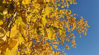 Прогноз погоды в Якутии на 9 октября