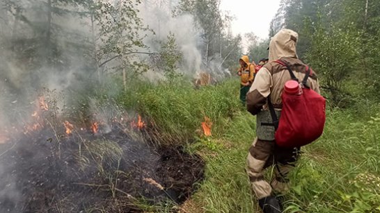 В Якутии продолжают действовать 29 природных пожаров