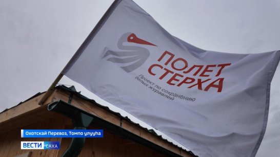 Международная обсерватория "Полёт стерха" зафиксировала пролёт 600 стерхов в Якутии