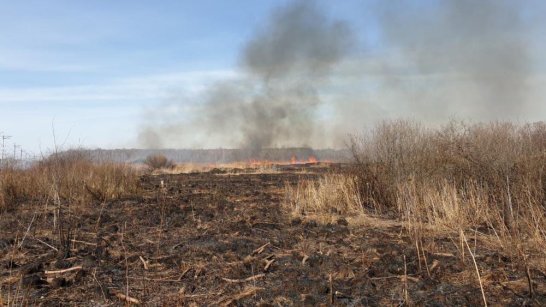 В Абыйском районе огнеборцы тушат ландшафтный пожар