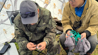 В ресурсном резервате "Куолума-Чаппанда" в Якутии впервые начаты работы по кольцеванию птиц