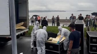 Мамонтёнка возрастом 130 тысяч лет транспортировали из Владивостока обратно в Якутск