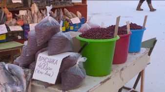 "Сайсары" ырыынакка эт, балык сыаната