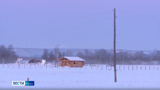 Участники программы "Гектар" принимают участие в патриотических проектах