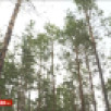 20 июня. День в истории - события, даты