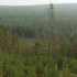 Инспекторами Минэкологии проведено более 1,8 тысяч рейдов в лесах Якутии