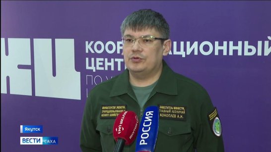 В Таттинском районе ликвидирован крупный лесной пожар
