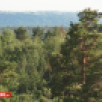 Площадь лесных пожаров в Якутии значительно сократилась по сравнению с прошлым годом
