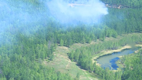 Ликвидирован лесной пожар на территории Олекминского района