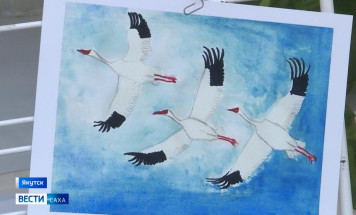 В Якутске подвели итоги первого года работы масштабного проекта "Полёт стерха"