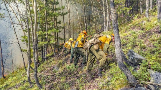 В Якутии идут работы по тушению 53 лесных пожаров