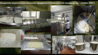 15 научных разработок ученых республики внедрены в сельское хозяйство Якутии в 2025 году