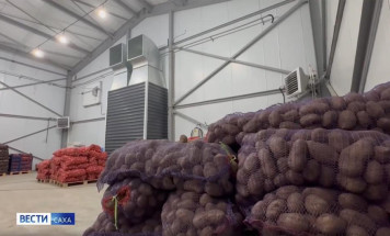 Более 500 тонн свежих овощей завезено в арктические районы Якутии