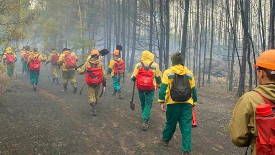 Огнеборцы ликвидировали самый крупный лесной пожар в Якутии