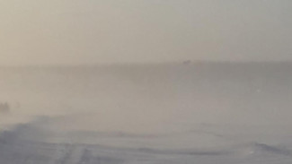 Служба спасения Якутии публикует телефоны на случай нештатных ситуаций на дорогах региона