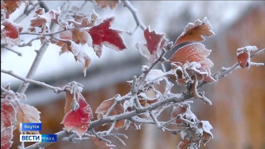 Прогноз погоды в Якутии на 18 ноября