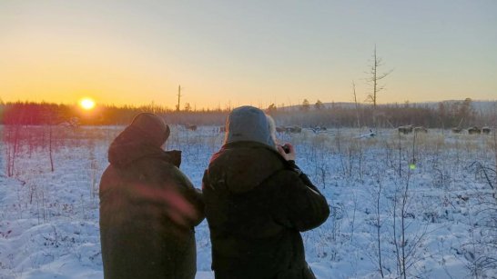 В Горном районе провели мониторинг популяции лесных бизонов