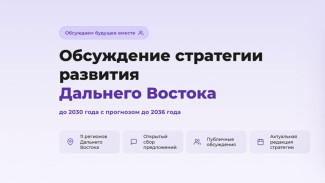 Стартовало обсуждение Стратегии развития ДФО до 2036 года