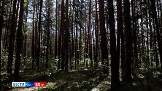 Прогноз погоды в Якутии на 16 июня