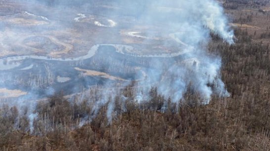 Ликвидировано 14 возгораний в лесах Якутии
