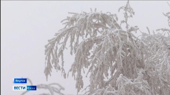 Прогноз погоды в Якутске на 21 января