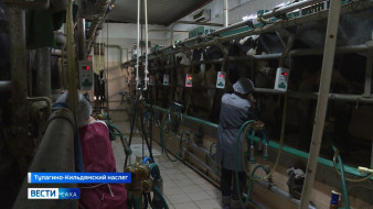 Более 54 тысяч тонн молока заготовлено в Якутии