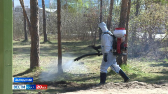 Саха сиригэр клещкэ ытыттарыы 40 тахса түгэнэ бэлиэтэннэ