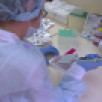 В Якутске врачи проводят исследования анализов крови с помощью расширенного неонатального скрининга