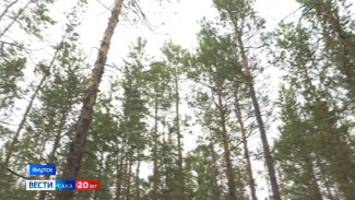 Вблизи села Владимировка был замечен бурый медведь