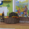 Олохтоох көҕүлээһини өйүүр бырагырааманан уһуйааҥҥа туустаах хос оҥоһуллуо