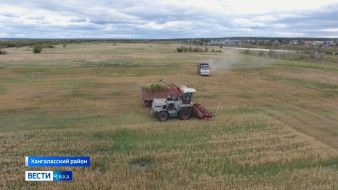 Более 24 тысяч тонн силоса планируют заготовить в Якутии в этом году