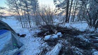 В Нюрбинском районе организована проверка по факту дорожно-транспортного происшествия