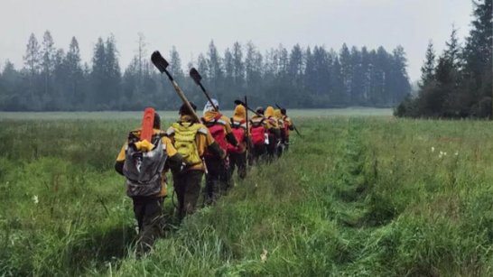 В Якутии с начала пожароопасного сезона ликвидировано 138 лесных пожаров