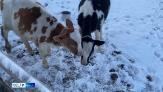 Саха сиригэр кыстыкка киириигэ бэлэмнэнии бара турар