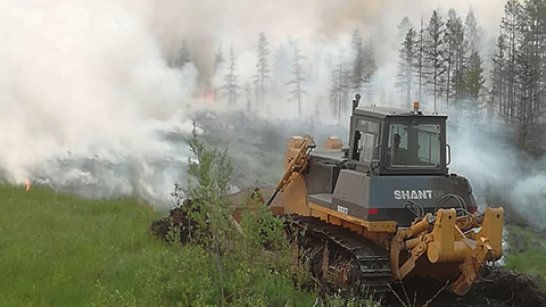 Оперативная информация о лесных пожарах на 26 июня