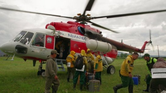 В Якутии за минувшие сутки ликвидировано 11 лесных пожаров