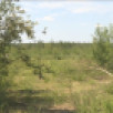 В Якутии за прошедшие сутки ликвидировано 3 лесных пожара