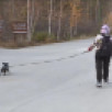В южных районах Якутии температура поднимется до +17 градусов