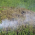 65 виновников природных пожаров установили в Якутии