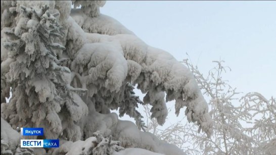 Прогноз погоды в Якутске на 27 декабря