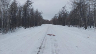 В Мегино-Кангаласском районе обнаружили тело мужчины на проезжей части