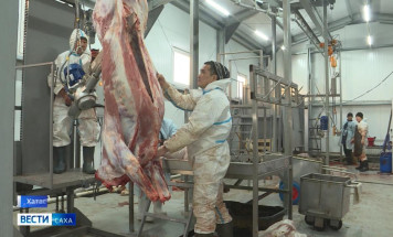 Хатас нэһилиэгэр буойуна сыаҕа аһылынна