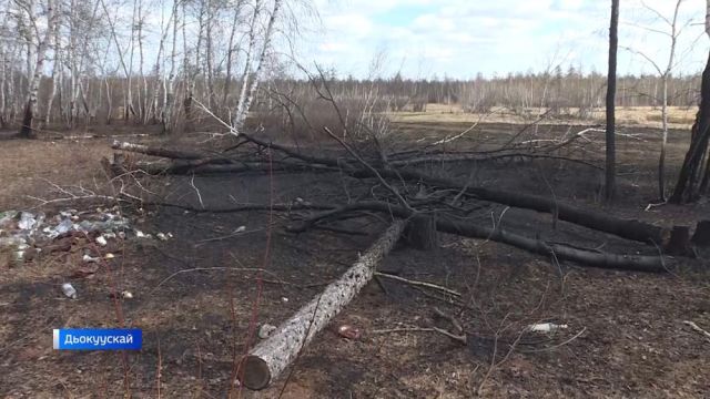 Ойуур баһаарыттан сэрэхтээх буолууга сэрэтэр рейдэлэр