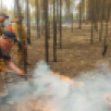 На территории Якутии действует 112 природных пожаро