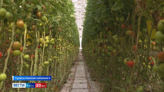 "Саюри" теплицаҕа буортулааччылары бэрэбиэркэлииллэр