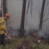 11 лесных пожаров потушено за сутки на территории Якутии