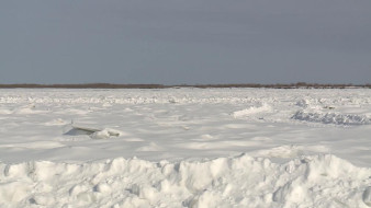 Вскрытие реки Лена в районе Якутска ожидается 12-14 мая